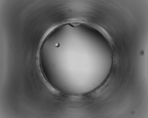 X0000100751196200807031328