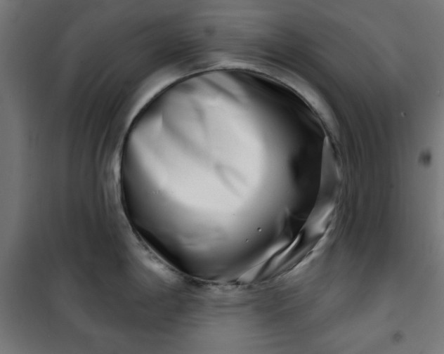 X0000100751198200807031328