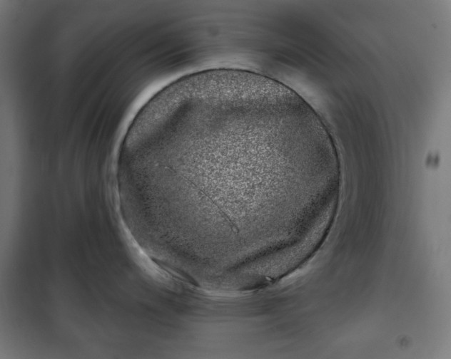 X0000100751200200807031328