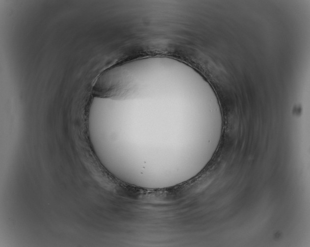 X0000100751201200807031328