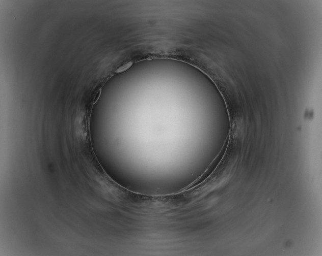 X0000100751202200807031328