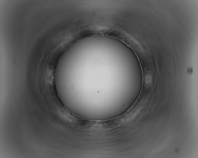 X0000100751204200807031328