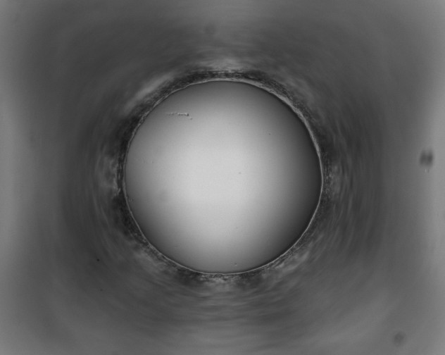 X0000100751205200807031328