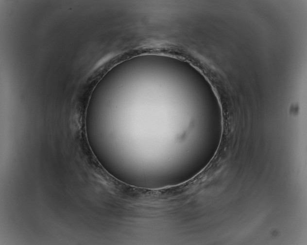 X0000100751206200807031328