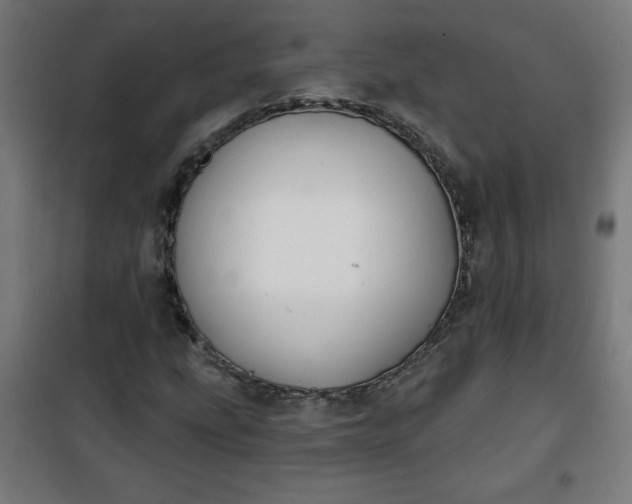 X0000100751207200807031328