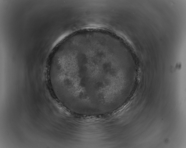 X0000100751208200807031328