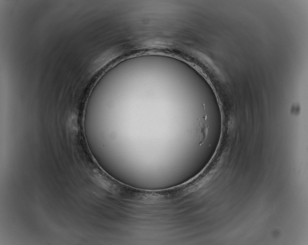 X0000100751209200807031328