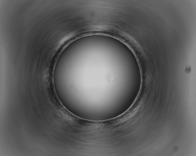 X0000100751210200807031328