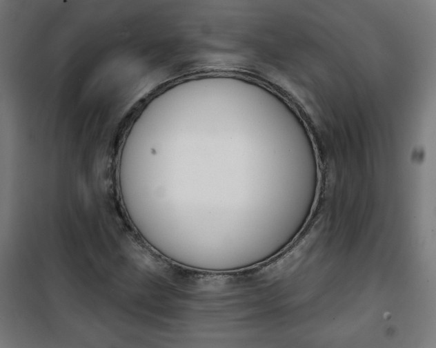 X0000100751211200807031328