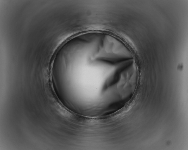 X0000100751212200807031328