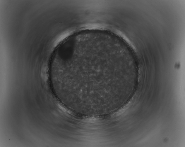 X0000100751213200807031328