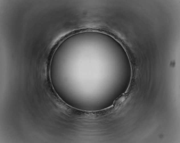 X0000100751214200807031328