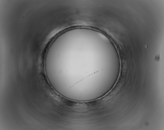 X0000100751215200807031328