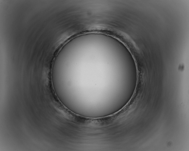 X0000100751217200807031328