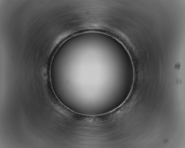 X0000100751218200807031328