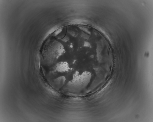 X0000100751219200807031328