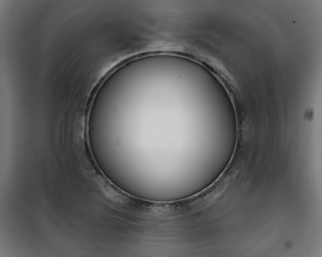 X0000100751220200807031328