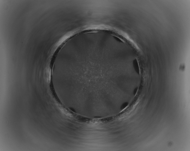 X0000100751221200807031328