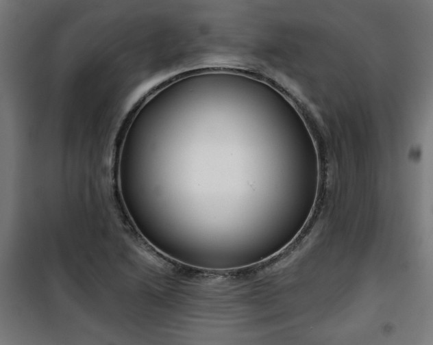 X0000100751222200807031328