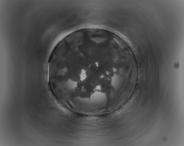 X0000100751223200807031328