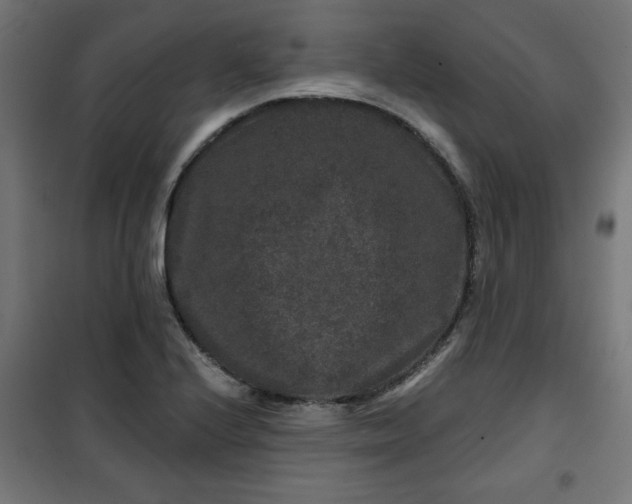 X0000100751224200807031328