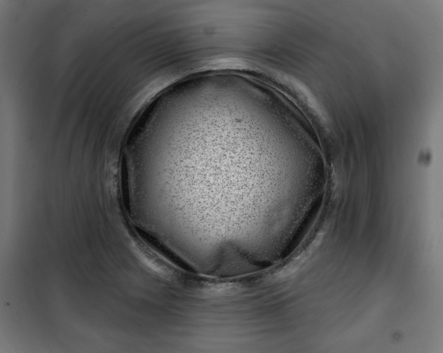 X0000100751225200807031328