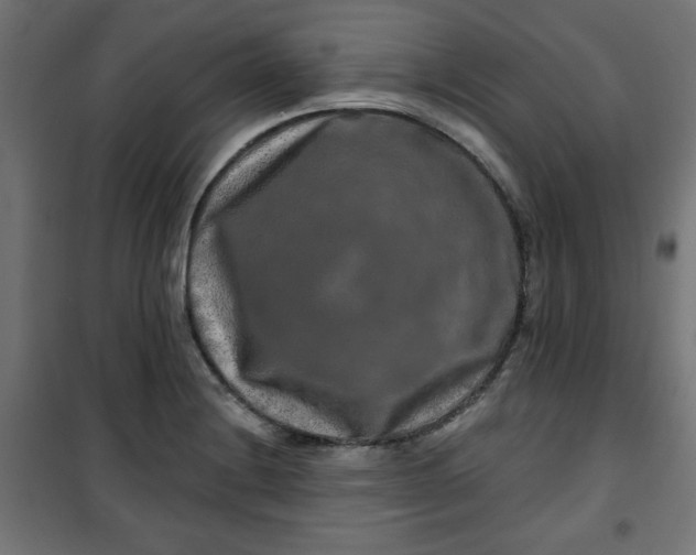 X0000100751228200807031328