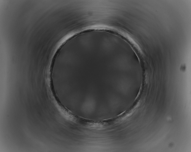 X0000100751229200807031328