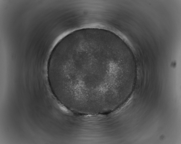 X0000100751230200807031328