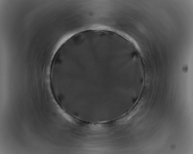 X0000100751231200807031328