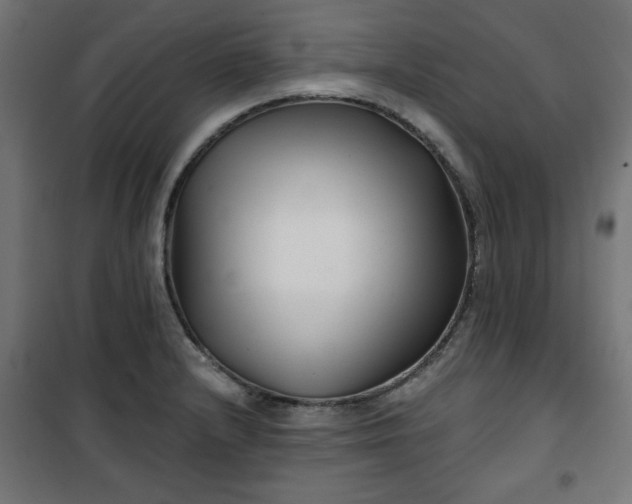 X0000100751232200807031328