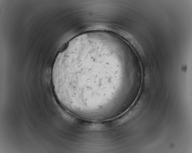 X0000100751233200807031328