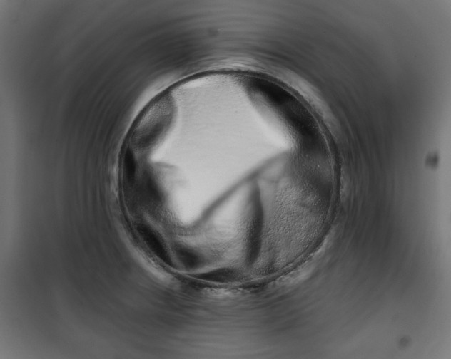 X0000100751234200807031328