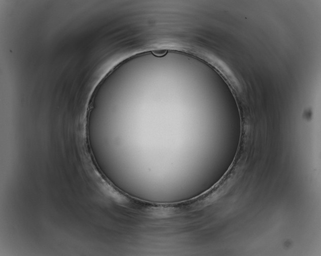 X0000100751236200807031328