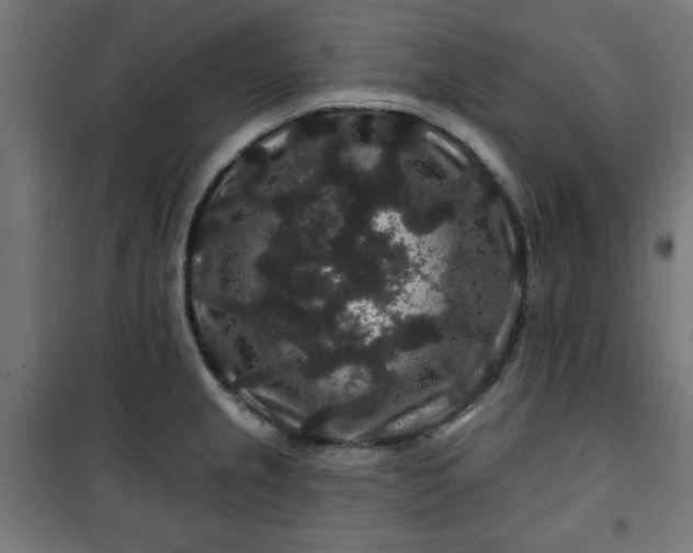 X0000100751237200807031328