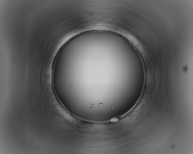 X0000100751238200807031328