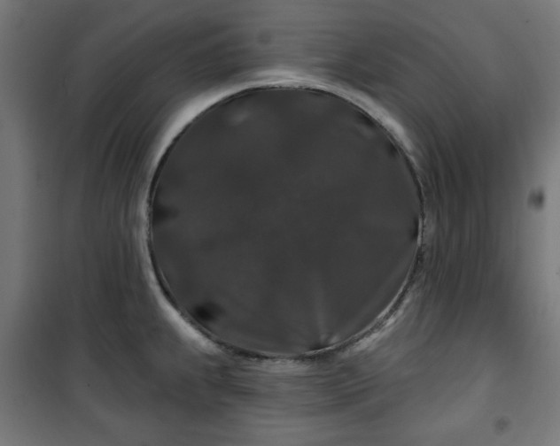 X0000100751239200807031328