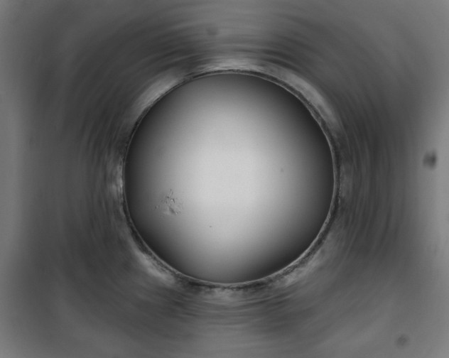 X0000100751241200807031328