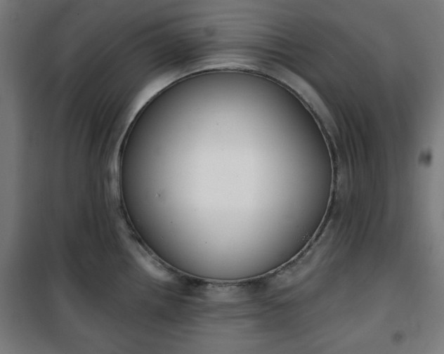 X0000100751242200807031328