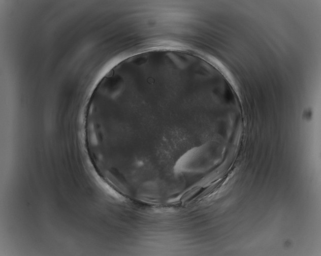 X0000100751243200807031328