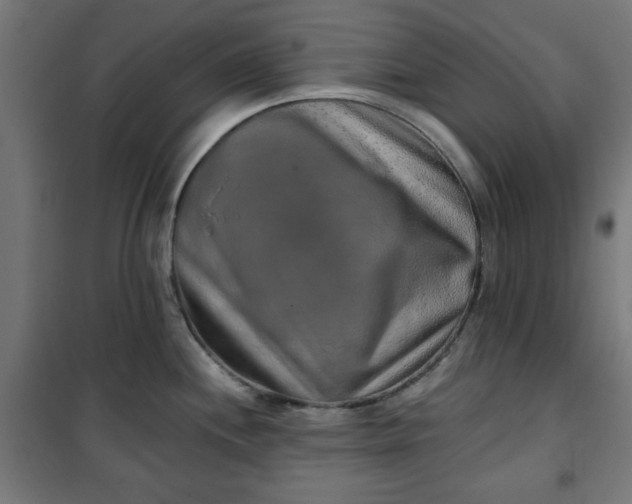 X0000100751244200807031328