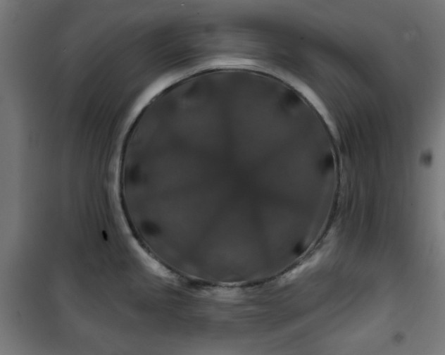 X0000100751245200807031328