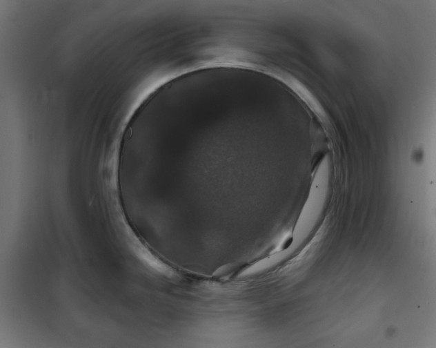 X0000100751246200807031328