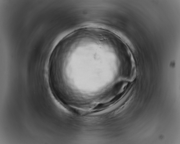 X0000100751247200807031328