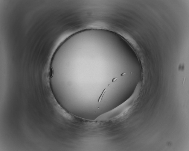 X0000100751248200807031328