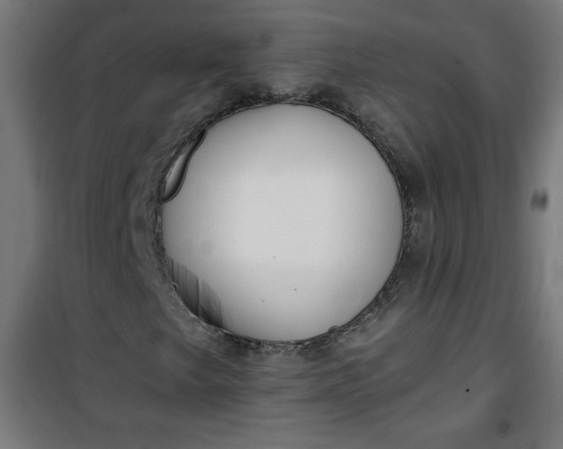 X0000100751249200807031328