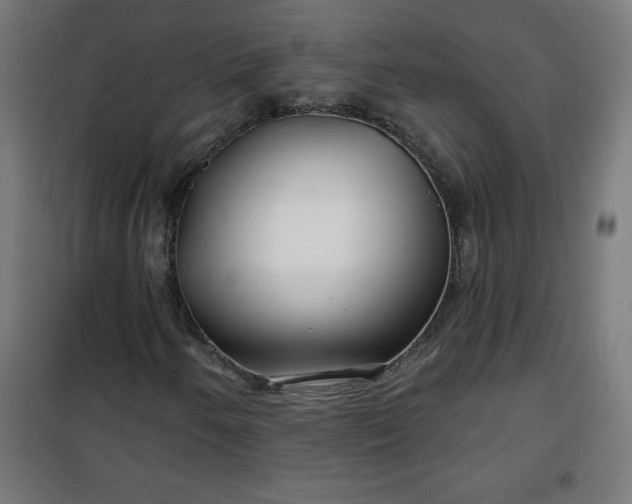 X0000100751250200807031328