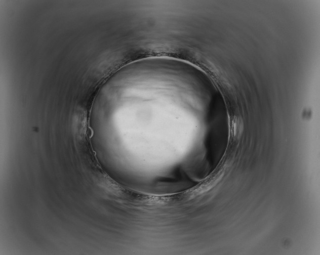 X0000100751251200807031328