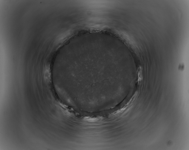 X0000100751252200807031328