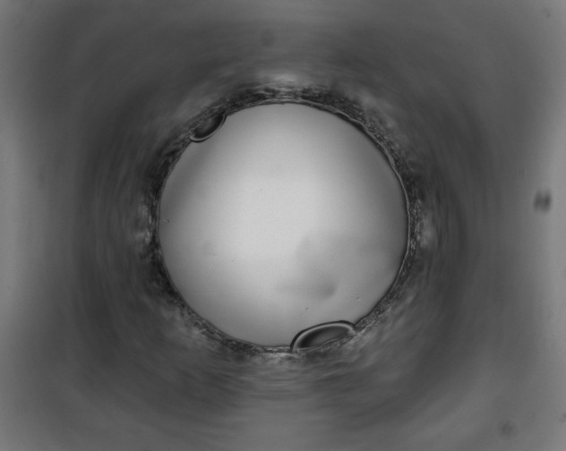 X0000100751253200807031328